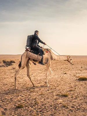 Expédition en Arabie : les mystères d'un monde oublié