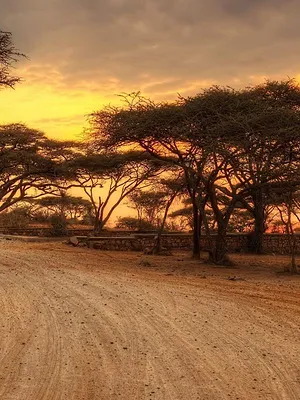 L'Afrik en conte