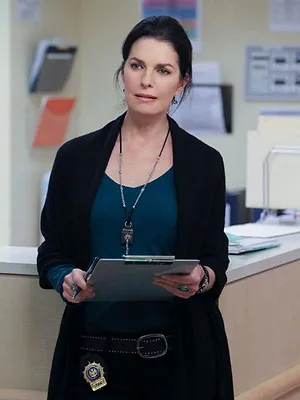 Les experts : Manhattan S8 E18