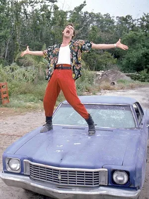 Ace Ventura, détective pour chiens et chats