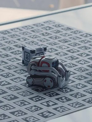 Cinq nouvelles du cerveau