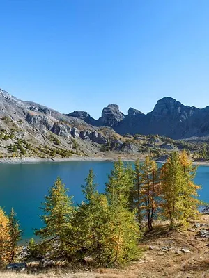L'Anneau - Qui en sortira vainqueur ?