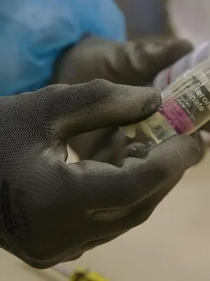 Patrouille frontalière Nouvelle-Zélande