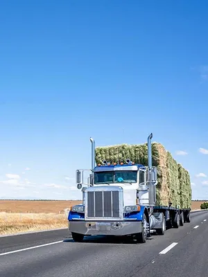 Routiers de l'Outback