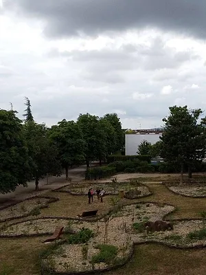 La civilisation des arbres