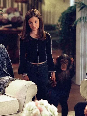 7 à la maison S6 E6