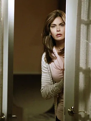 Desperate Housewives S7 E22