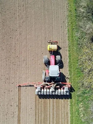 Insecticide, comment l'agrochimie a tué les insectes