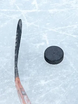 Team Suisse / Finlande