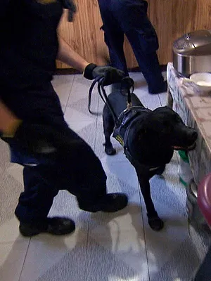 Douanes sous haute surveillance