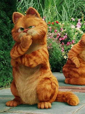 Garfield 2