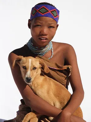 Dans la vie d'un chien