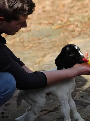 Habitations en péril