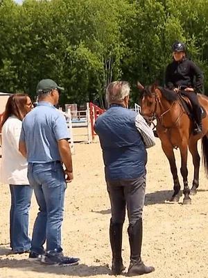 Au galop !