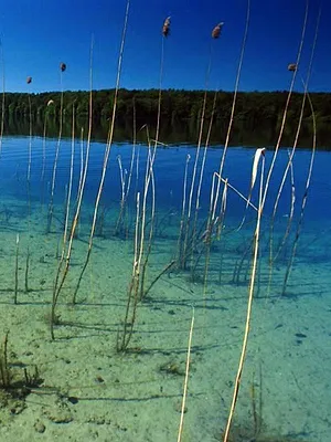 L'Allemagne au fil de l'eau