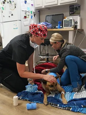 Les Vétérinaires du Midwest