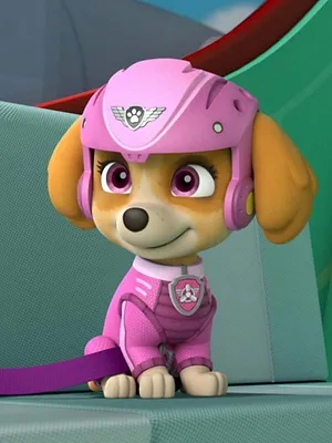 Paw Patrol, la Pat'Patrouille S5 E21