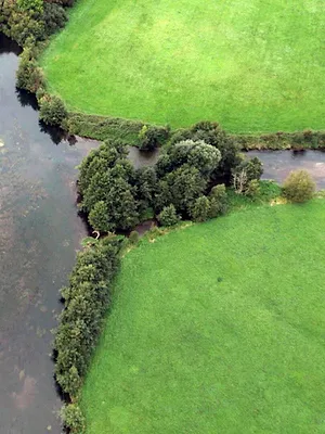 Les promesses de la terre