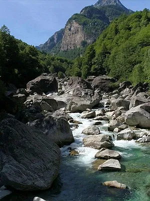 La Suisse, notre pays sauvage