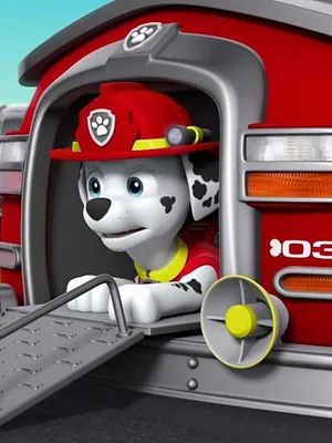 Paw Patrol, la Pat'Patrouille
