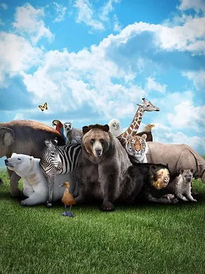 Des animaux et des hommes