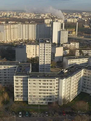 La banlieue c'est le paradis
