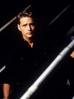 Beverly Hills S8 E14