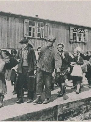 Le travail forcé sous l'Allemagne nazie