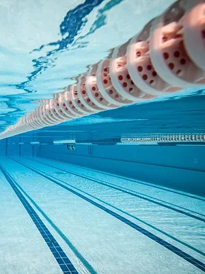 EK zwemmen 2026 in Parijs
