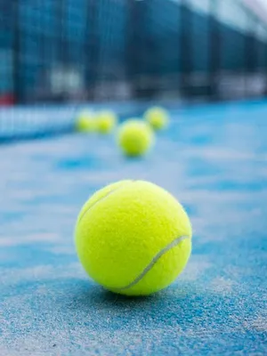 Tennis : Tournoi ATP d'Acapulco