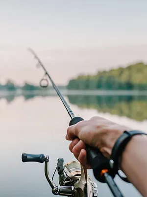 Québec à vol d'oiseau