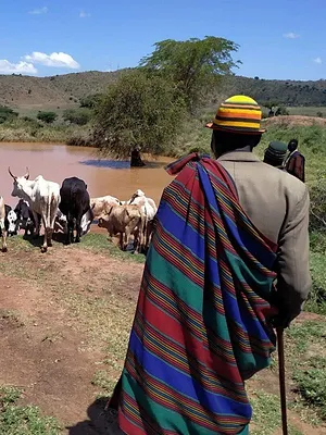 Les artisans de la nature