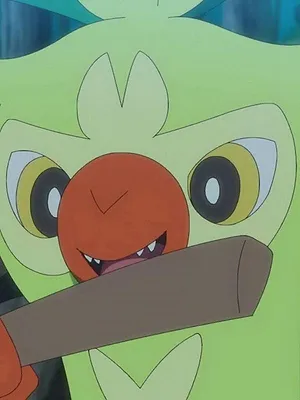 Pokémon, les voyages S25 E11