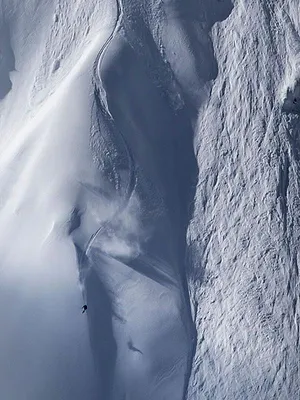 Passe-moi les jumelles