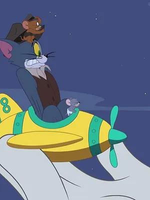 Tom et Jerry Show S5 E15