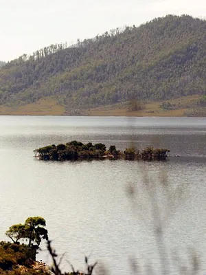 Invitation au voyage