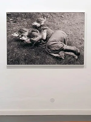 Bestialement photogénique