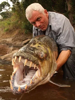 River Monsters