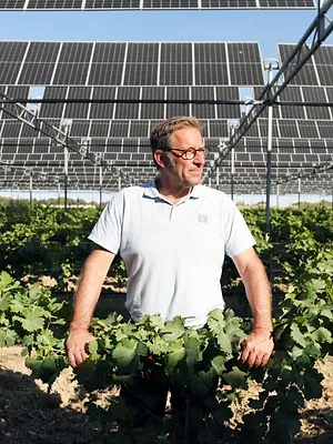 Bonnes nouvelles de la planète