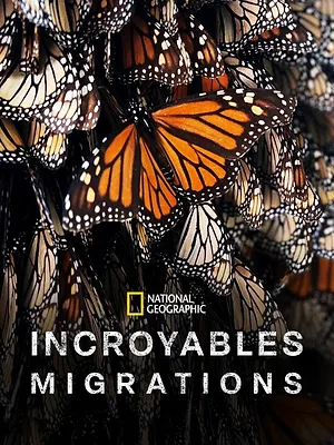 Incroyables migrations