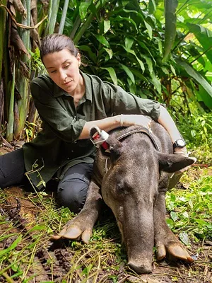 Terra X : Faszination Erde