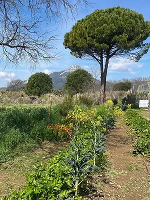 Les fées anti-gaspi, en Provence verte