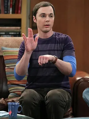 Big Bang Theory S5 E17