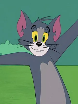 Tom et Jerry Show S4 E76