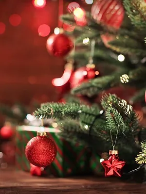 Fééries à New York dans la magie de Noël