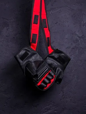 MMA : Countdown UFC