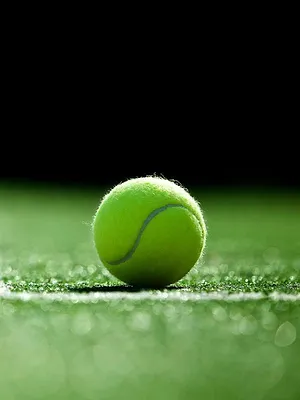 Tennis : Tournoi ATP d'Eastbourne
