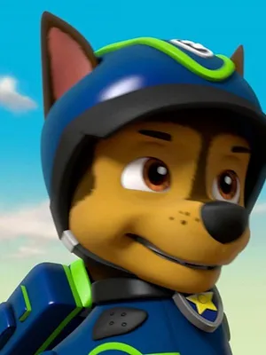 Paw Patrol, la Pat'Patrouille S5 E24