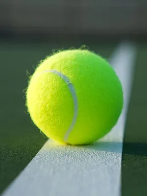 Tennis : Coupe Davis