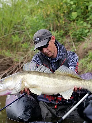 Une proie pour un leurre